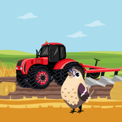 16. Zvirbuļi laukos