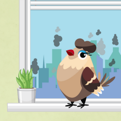 7. Lidošanas stunda un gaisa piesārņojums