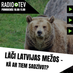 39.  LĀČI LATVIJAS MEŽOS